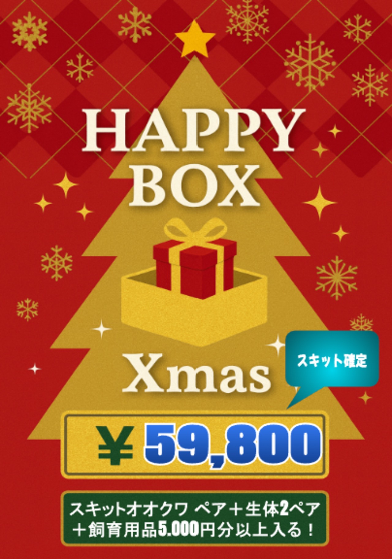 【スキット確定】X'mas HAPPY BOX（お得箱） 59,800