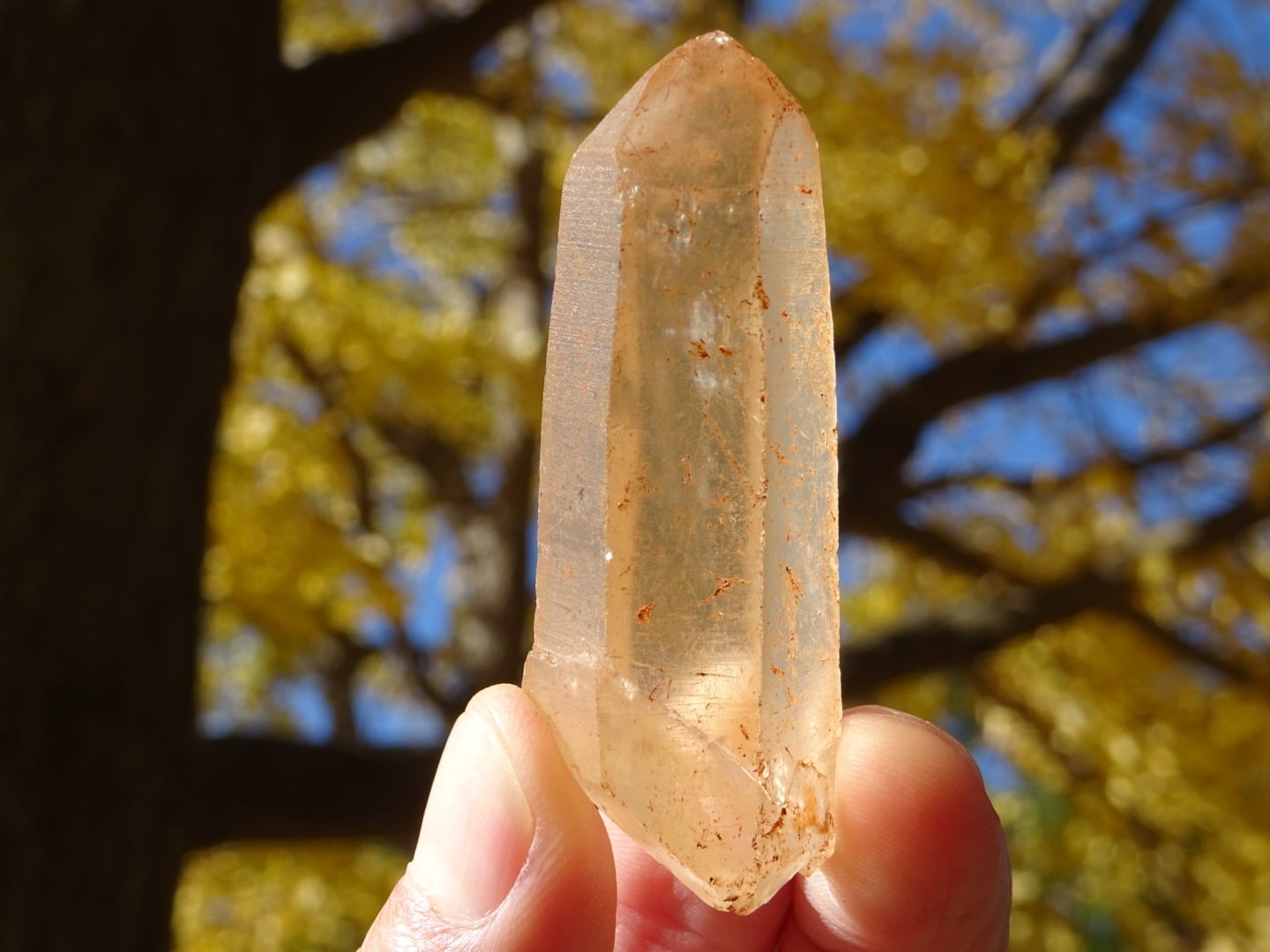 ベトナム | 虹石屋