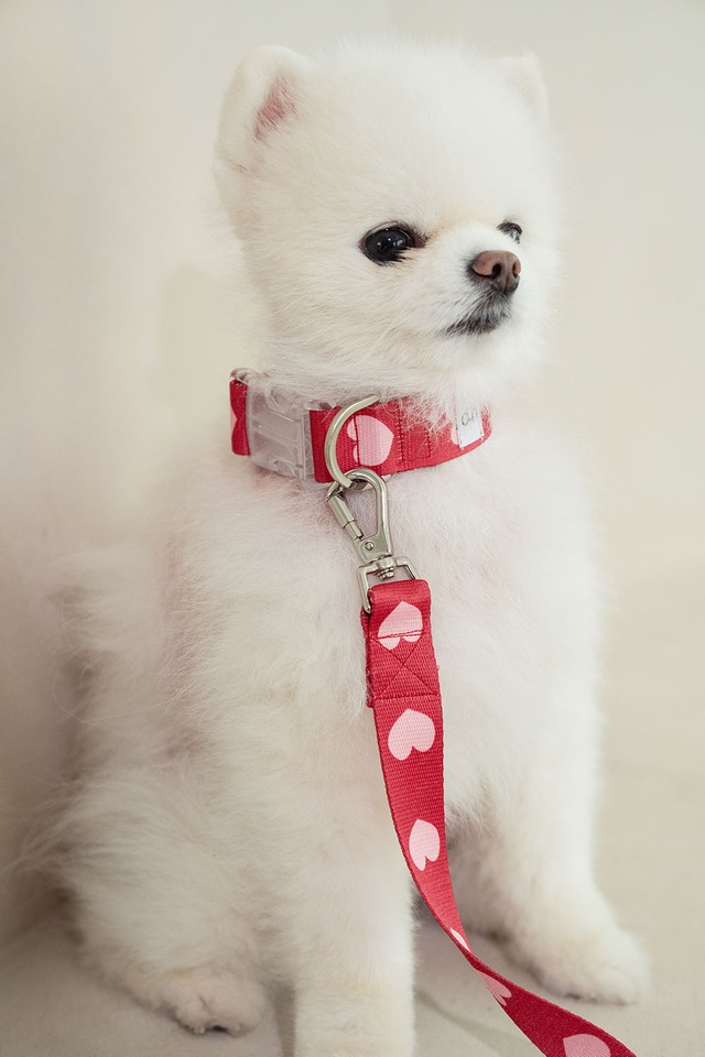 即納【ounce】heart bongbong 首輪《レッド》