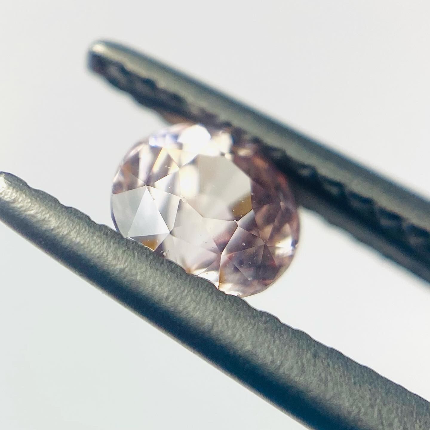 桜桜桜　サファイア