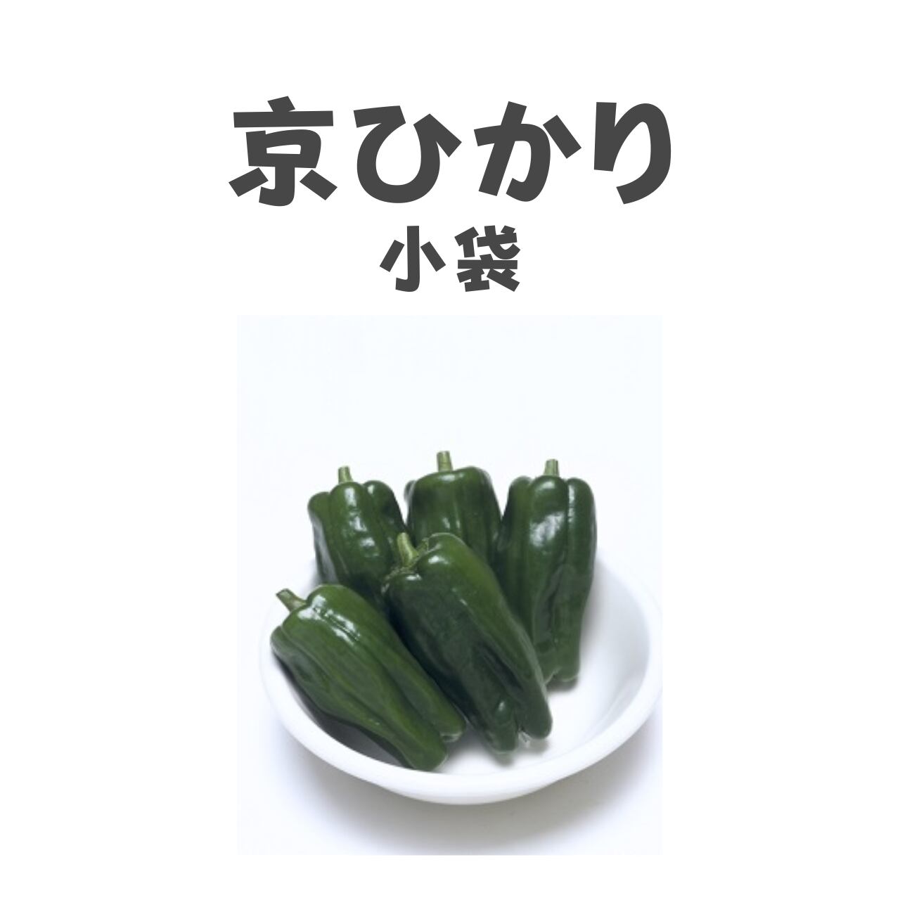 京ひかり ピーマン種子・小袋