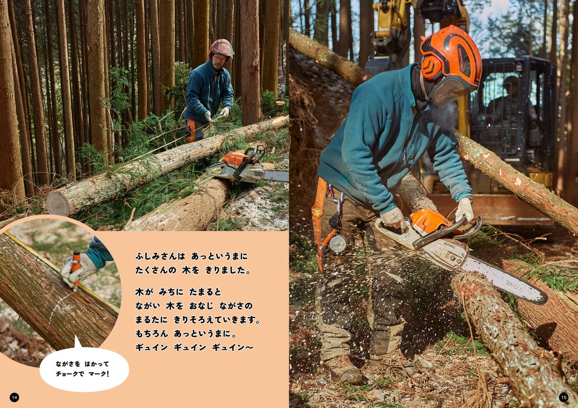 図説 木のすべて 全5巻 図説 木のすべて 全5巻