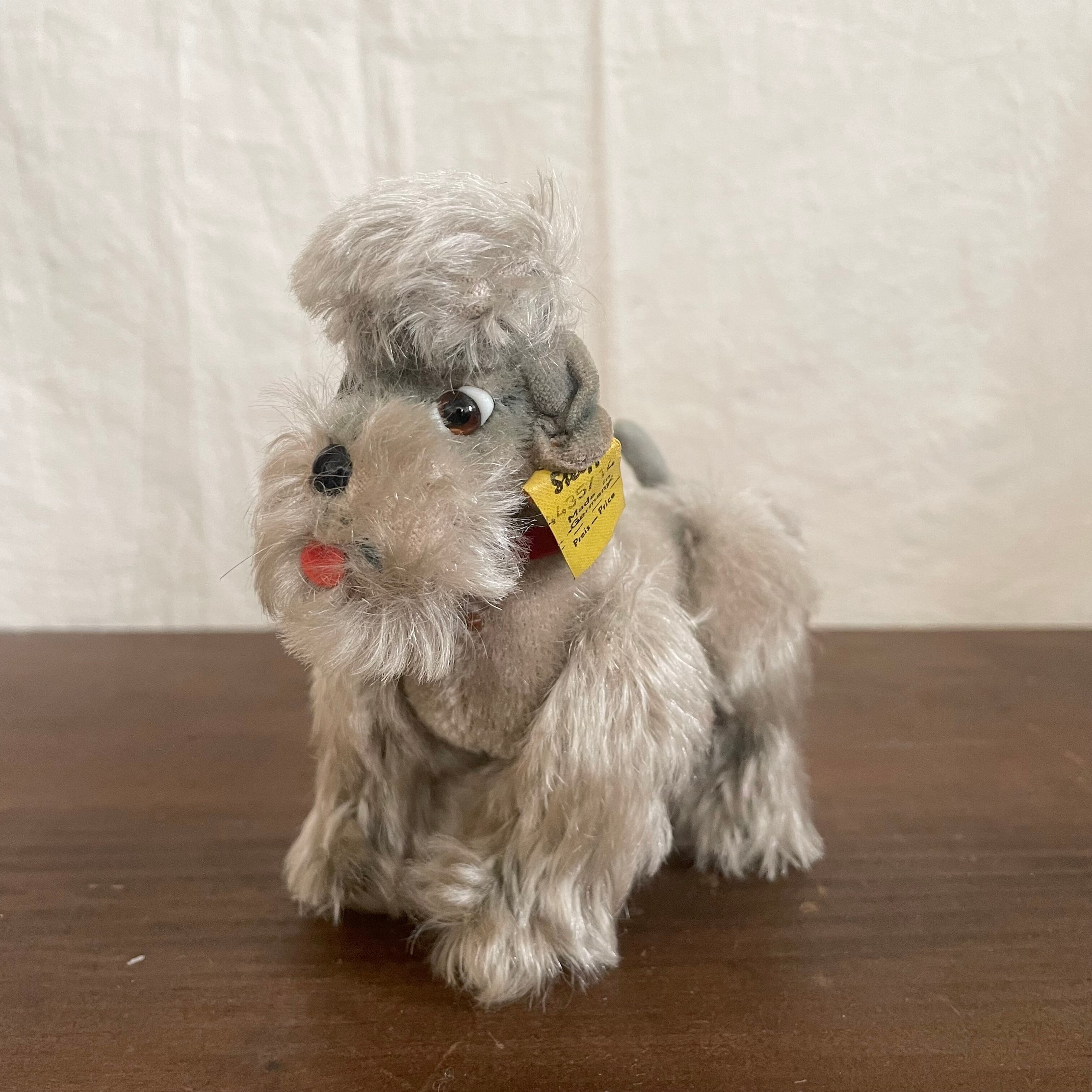 舌ぺろプードル