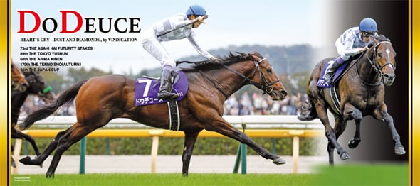 ディープインパクト号(菊花賞)スポーツタオル | 福馬ストア