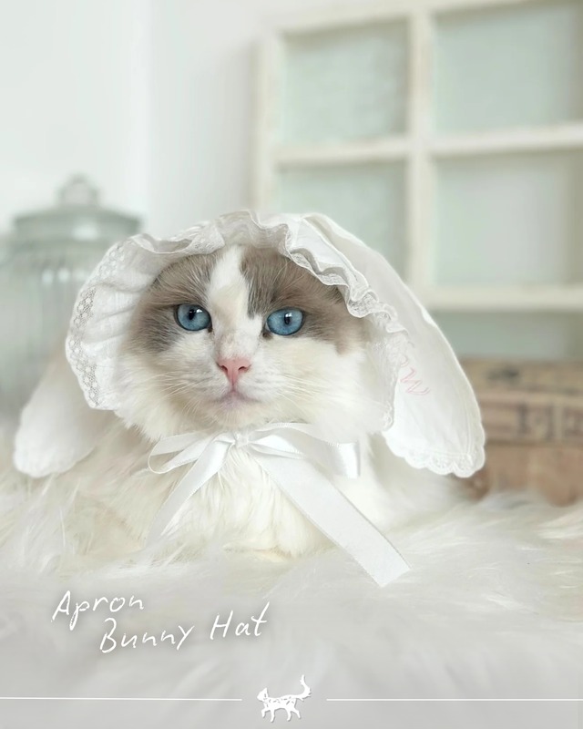 予約【kiki&nini】Apron Bunny Hat〔お名前刺繍〕