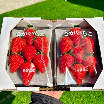 減農薬・無化学肥料いちご 1kg(250g×4） | Pay ID