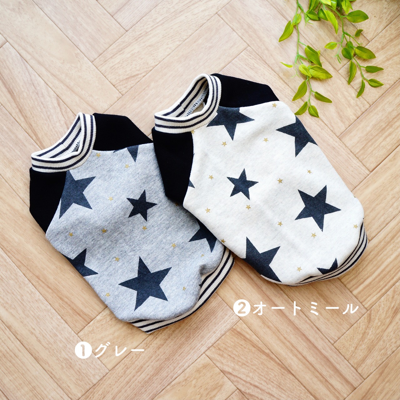 STARトレーナー