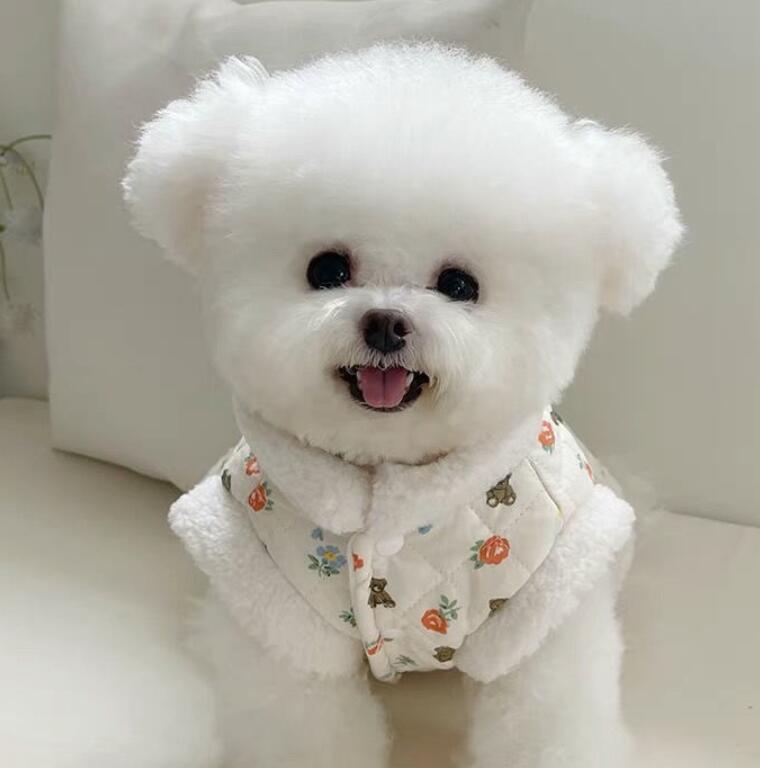 《予約》3101325 カラフルボアくまさんコート