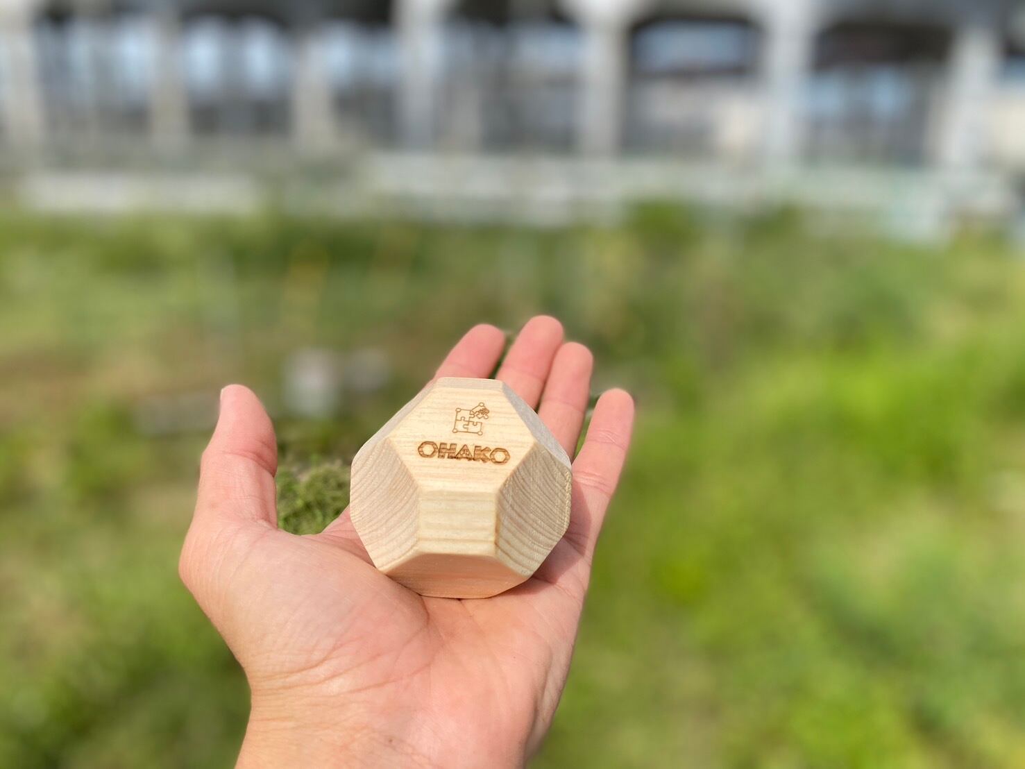 脳トレ積み木ブロックOHAKO 18個 国産ヒノキの18面体 脳トレ積み木