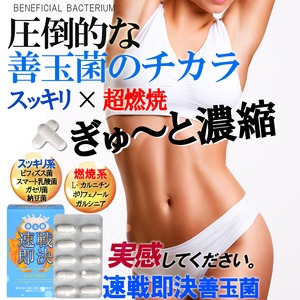 スマート 乳酸菌 ダイエット サプリメント【速戦即決 善玉菌】