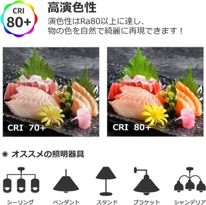 Lepro LED電球 2個入り E26口金 60W形相当 6.5W 電球色 650lm 広配光タイプ 高演色性 密閉器具対応 省エネ キッチン