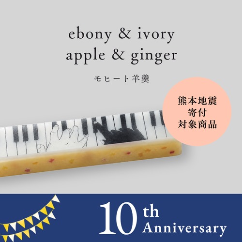 【アート羊羹】ジャズ羊羹 ebony & ivory apple ginger