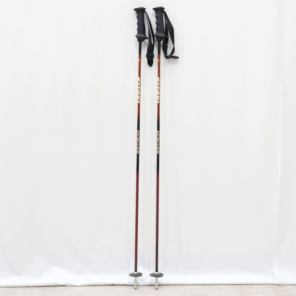 フィッシャー FISCHER S Bound 179cm ステップソール 鱗 ウロコ板