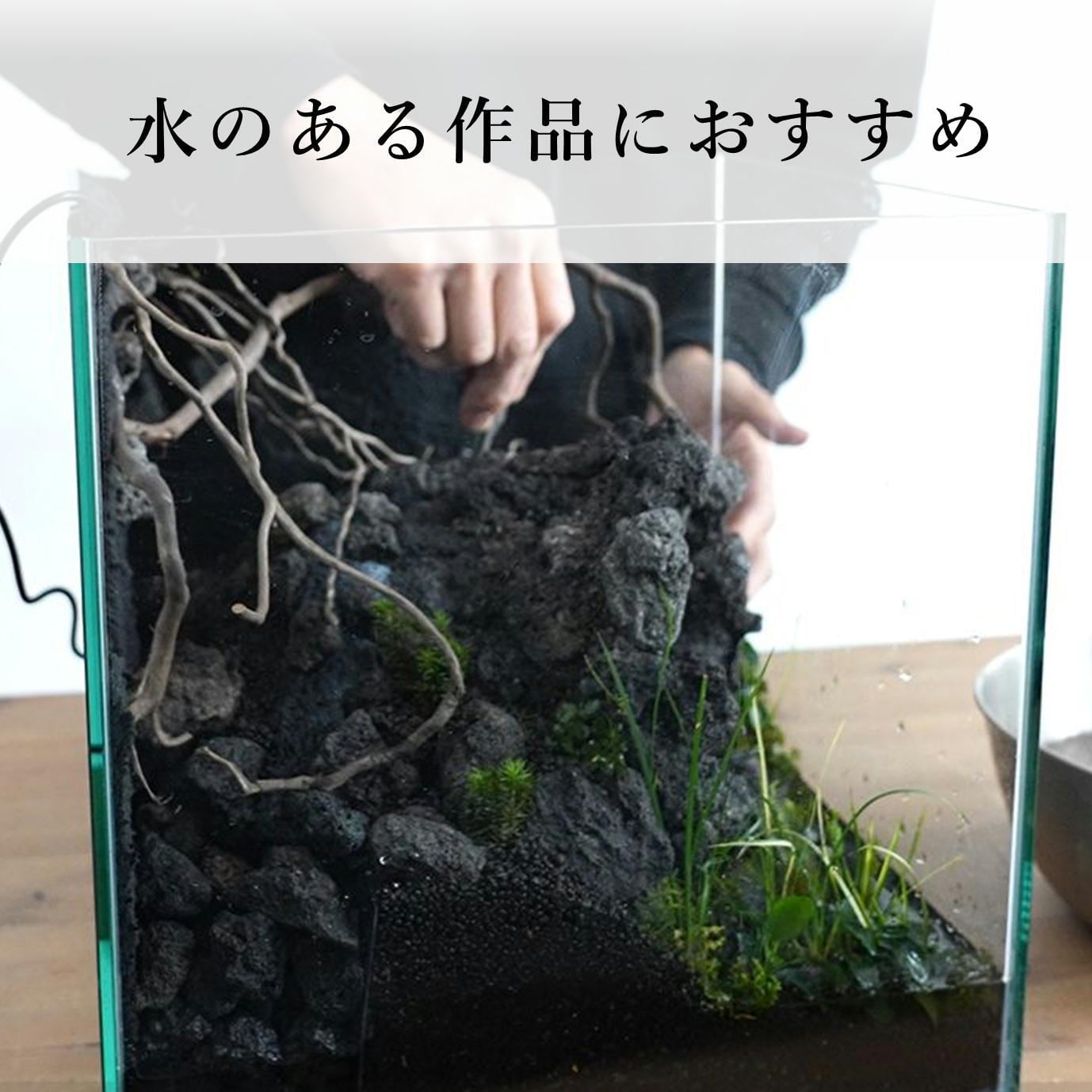 コケ用特別配合】ボタニカルソイル ◇アクアテラリウムやゼニゴケ