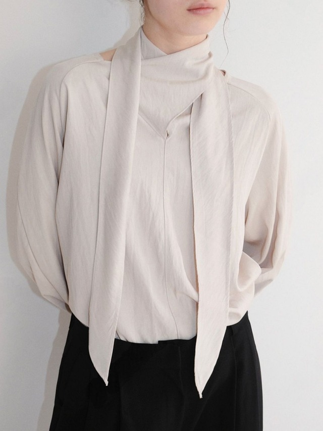 Long Scarf Neck Blouse