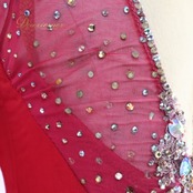 社交ダンス 衣装 スタンダードドレス ワンピース ドレス レッド系 シルバー系 赤 フロート レース デモ 競技 ダンス パーティ 発表会 落ち感 高級感 上品 社交ダンスワンピース レディース 社交ダンスドレス デモンストレーション ビジュー ラインストーン フロートレース ワンピースドレス ラグジュアリー 大人可愛い 華やか フェミニン 演技衣装 舞台衣装 発表会衣装