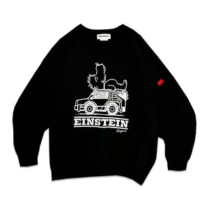 SLEEPY EINSTEIN BIG CREWNECK SWEAT / HEAD GOONIE