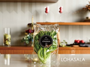 LOHASALA　フリルレタス　　　　　6個×100g　無洗LED栽培野菜