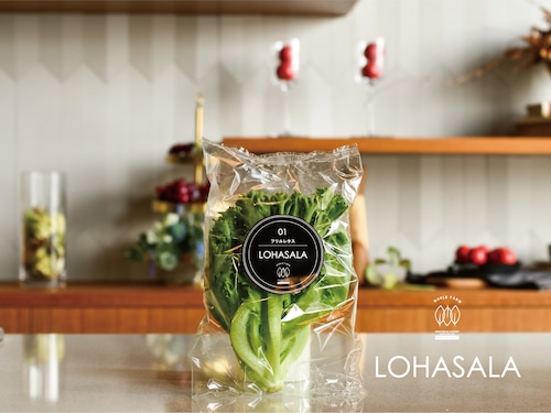 LOHASALA　フリルレタス　　　　　6個×100g　無洗LED栽培野菜