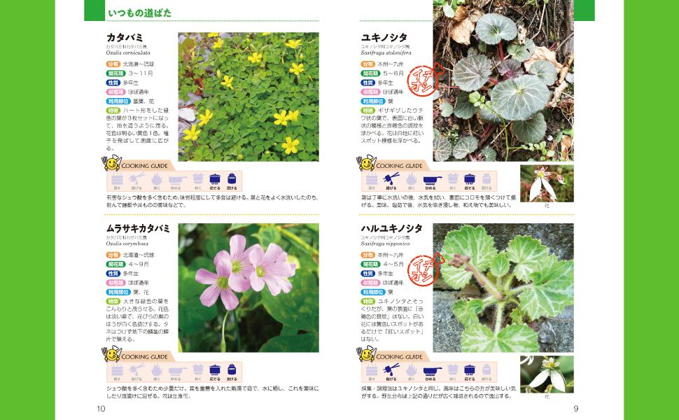 食べられる草ハンドブック | BOOKSHOP 本と羊