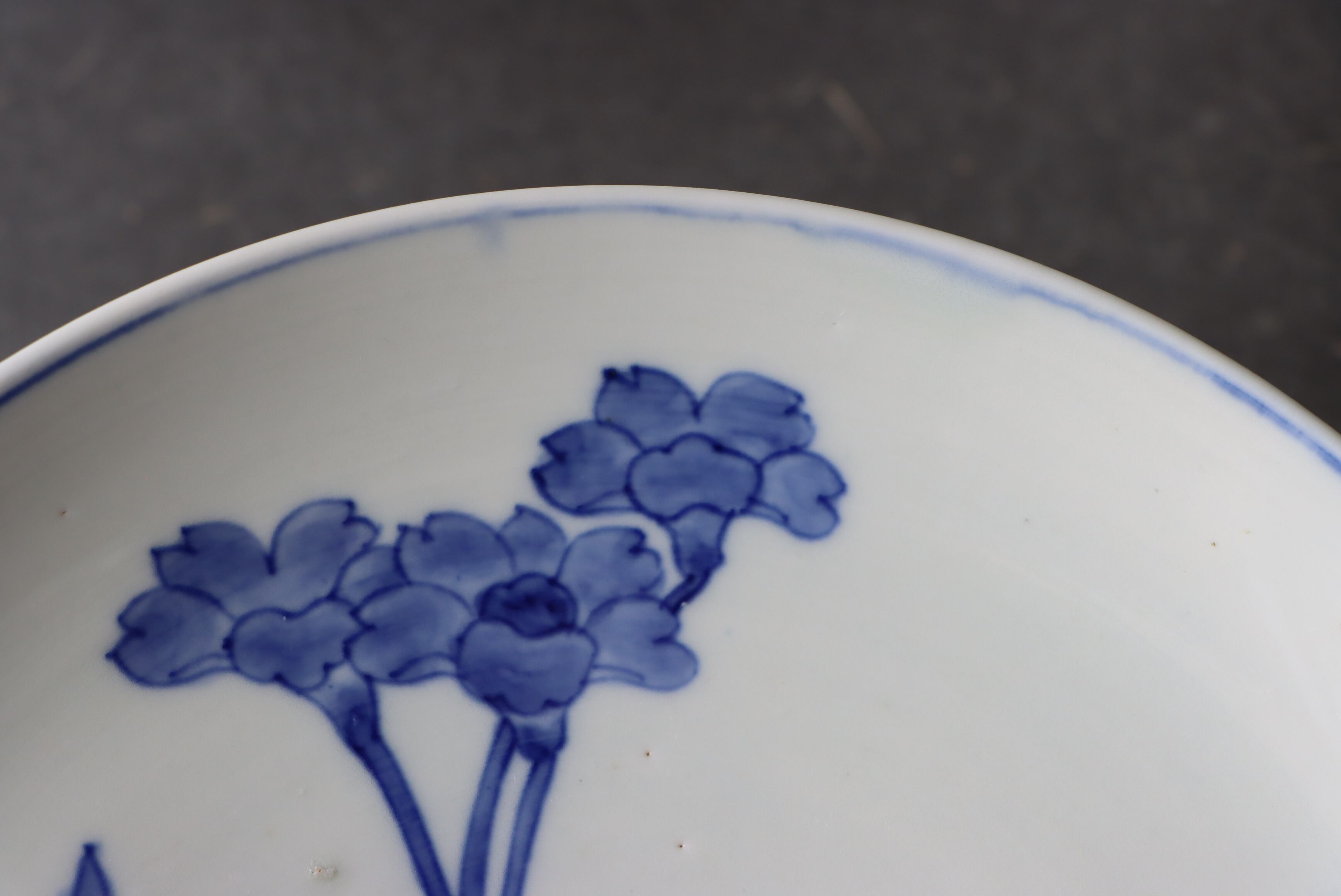 染付 阿蘭陀石竹文 中皿 七寸/Blue and white medium size plate | (有