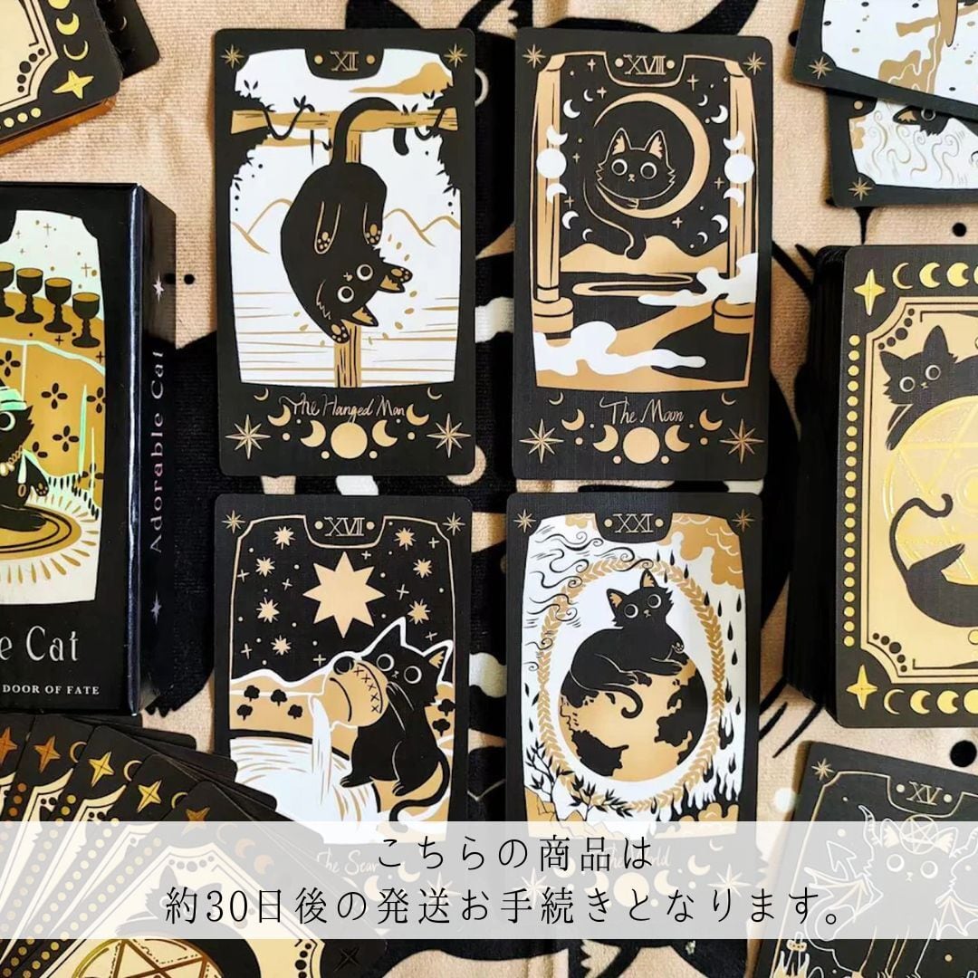 ご注文から1〜3日以内に発送可能】 MIDNIGHT BLACK SOUL TAROT CARDS