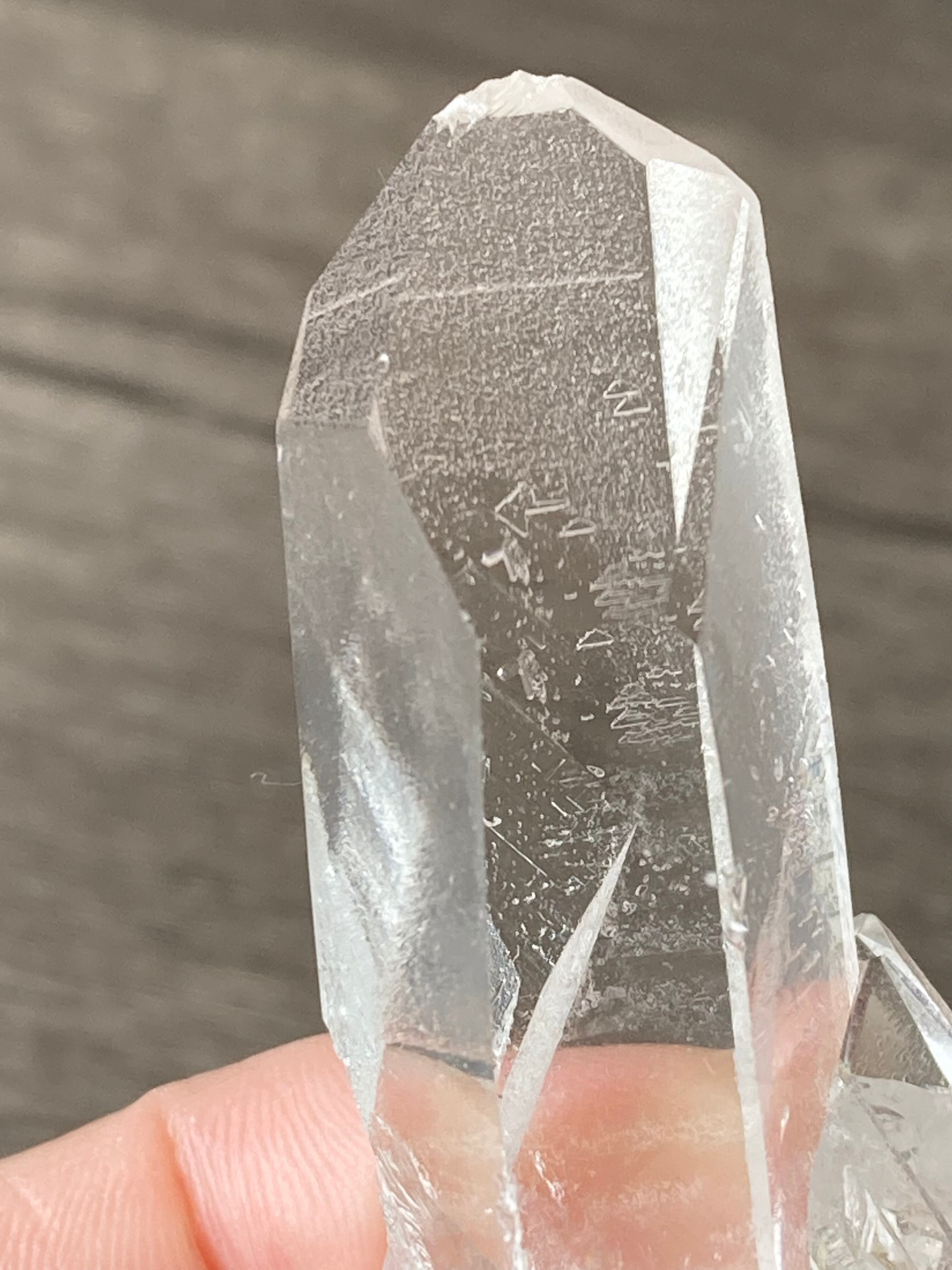 ゼッカデソーザ　レコードキーパー　スターブラリー 21a1c3f826417fafc7c40e45999e6d