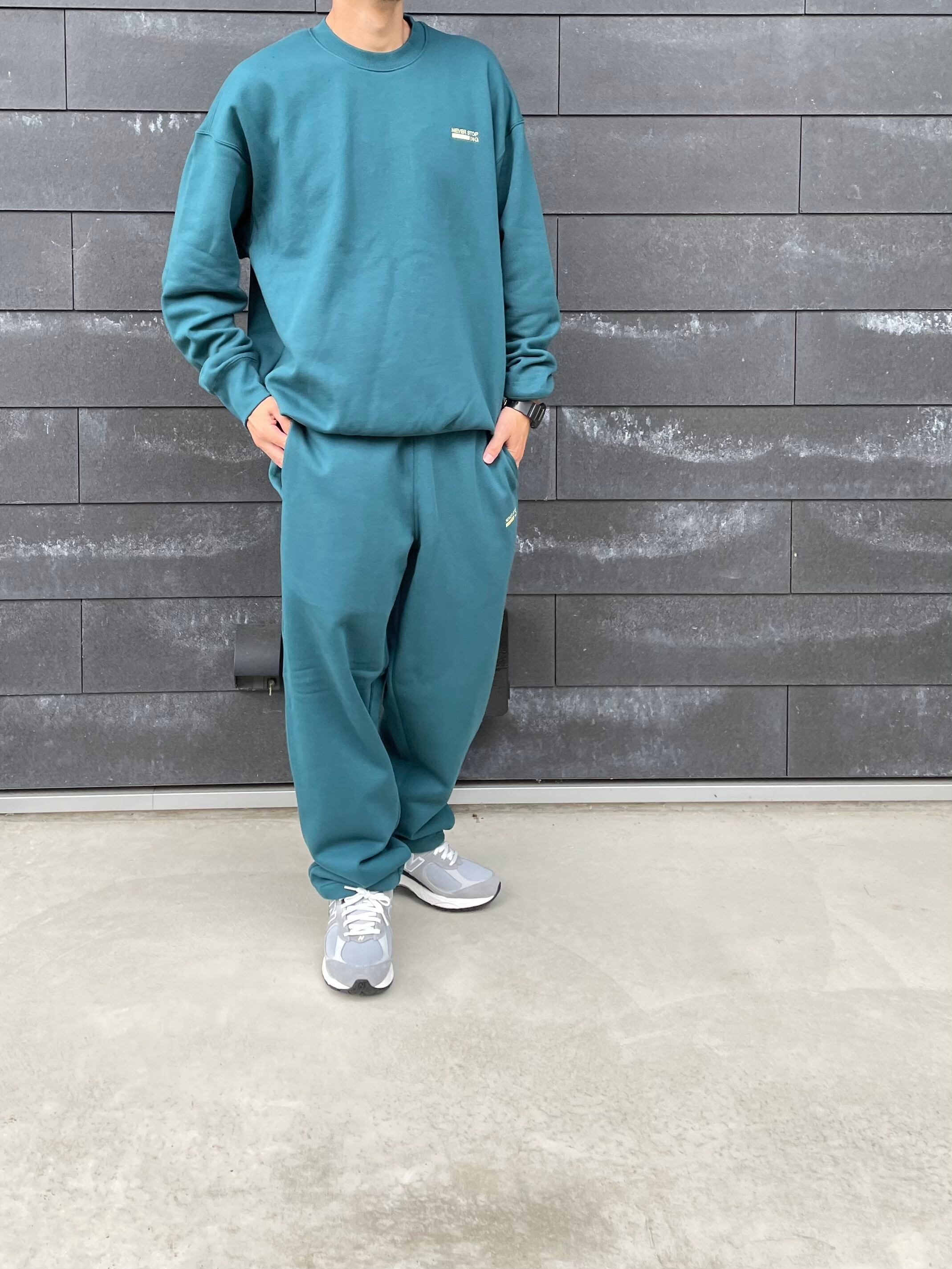 THE NORTH FACE【 NEVER STOP ING Pant 】 | LARGE LAB TOWN