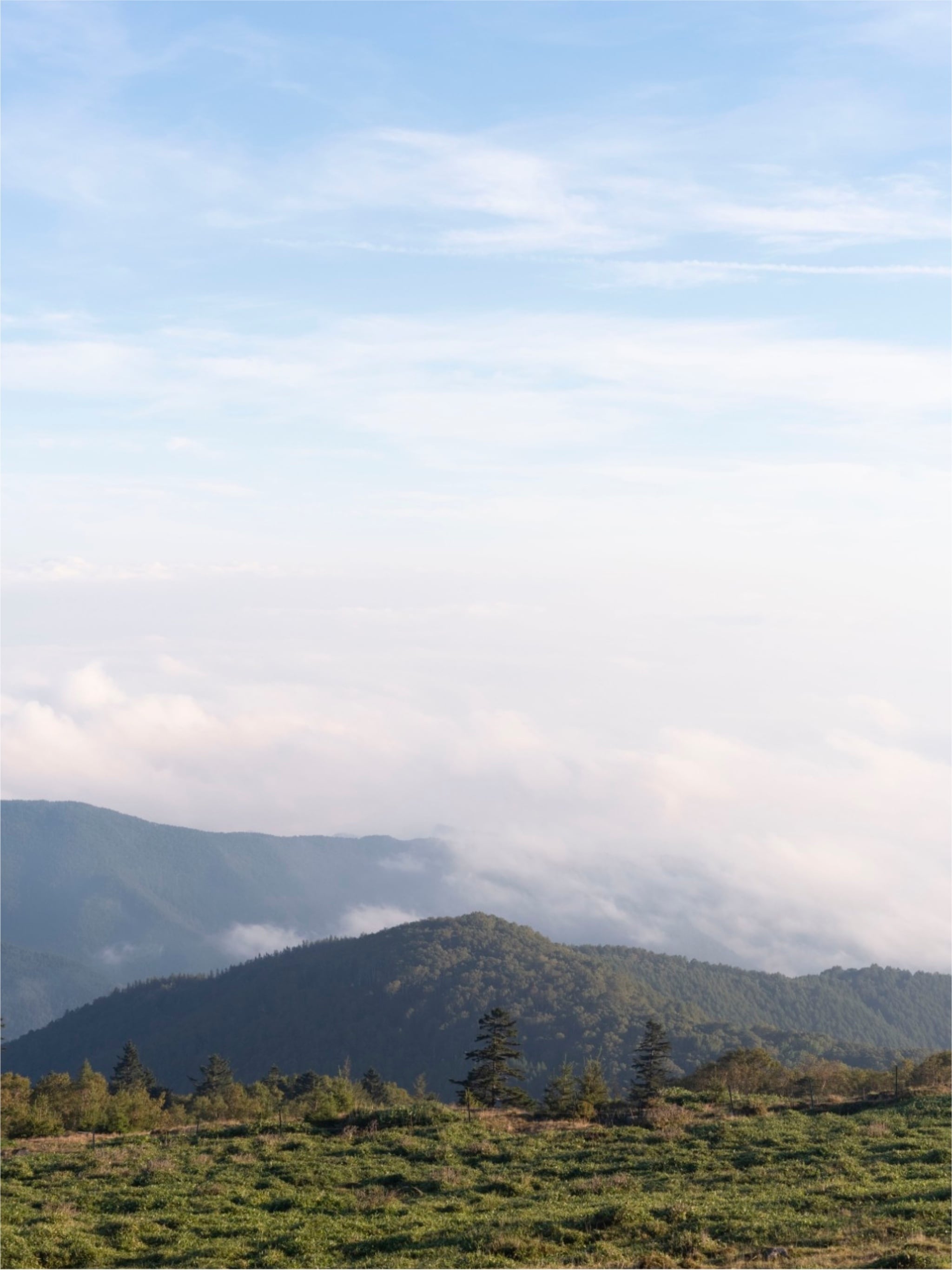 パプアニューギニア 修道院の珈琲