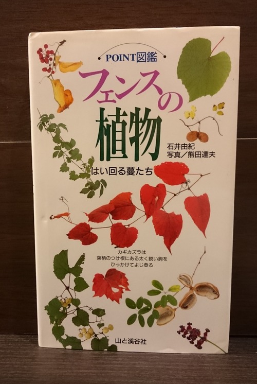 フェンスの植物（POINT図鑑）はい回る蔓たち