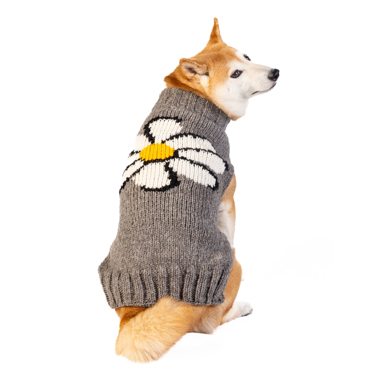 CHILLY DOG チリードッグ | PERRO online shop