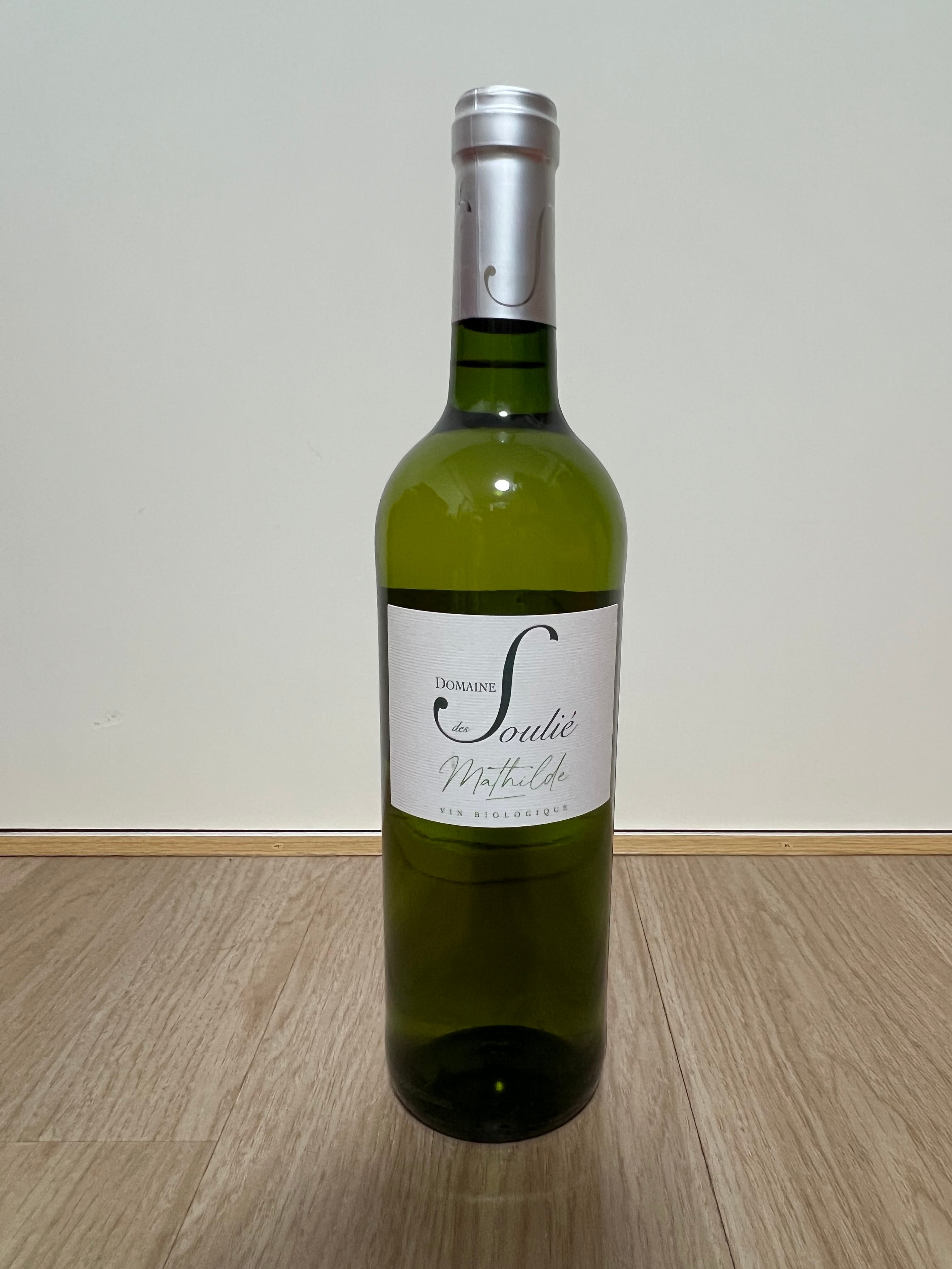 Case Corini BRICCO 2019（ガーゼ・コリーニ ブリッコ2019