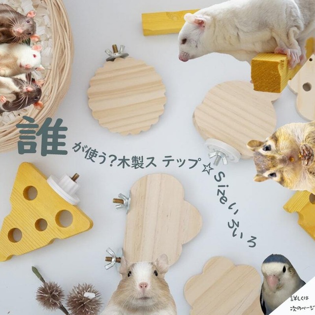 ちょこん♪とひと休み♡天然パイン材のあそび場ステップ♡