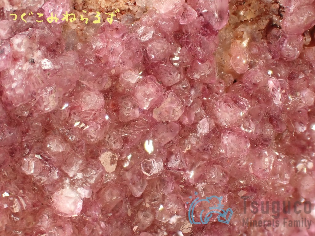 コバルトカルサイト コバルト方解石 Cobalt-bearing Calcite コンゴ TM-0021