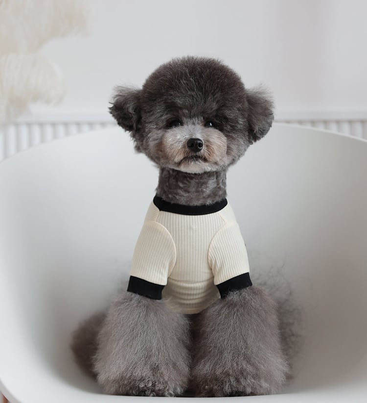 Onz Ribbon Knit T-shirt S ~ XL 4color / 犬服 新作 ニット 可愛い 犬の服 Tシャツ リボン トップス お揃い ドッグウェア b54