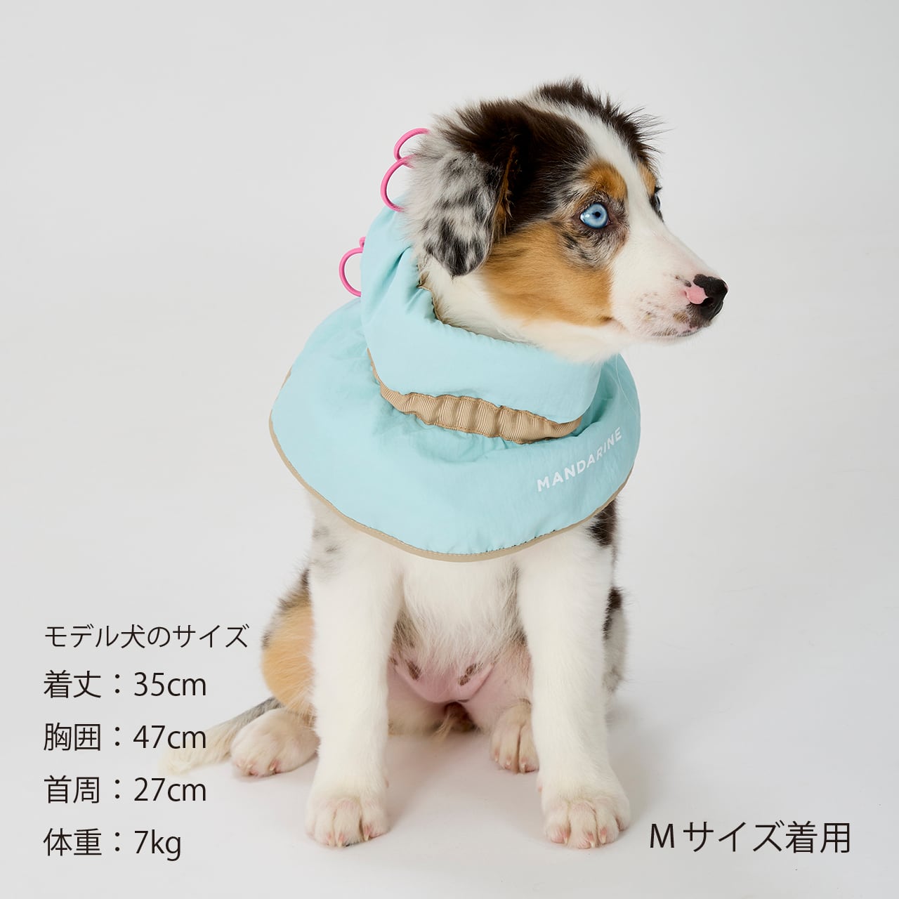 COOLING COLLAR（M） クーリングカラー | MANDARINE BROTHERS
