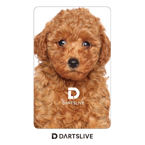 Darts Live Card [45]
