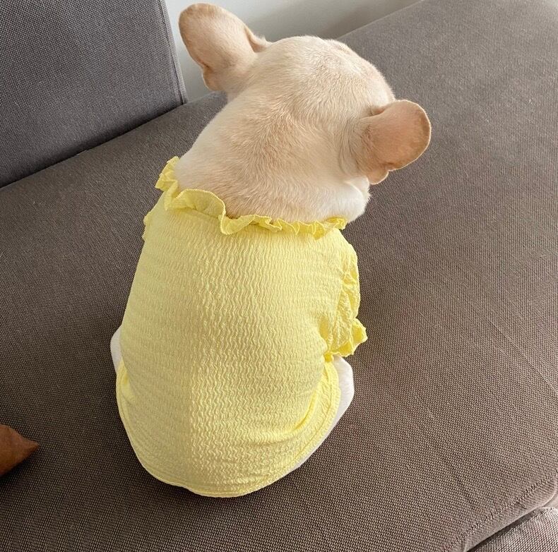 ワンピース❤️小型犬 中型犬 イエロー リボンセット | hogan shop