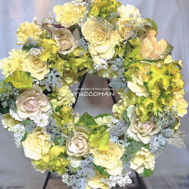 送料無料　花日和さんのペチュニア６ポットセット