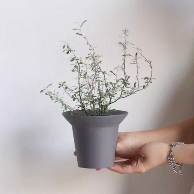 開口部の大きいPOT A086