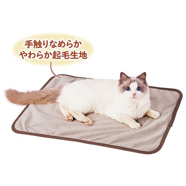 ブランケットAWA(アーモンドグレー)】両面リバーシブル素材！手洗い