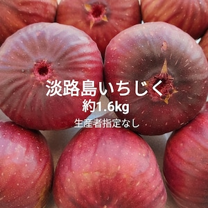 淡路島産 路地栽培いちじく 4パック(約1.6kg)箱   冷蔵無花果イチジク玉葱たまねぎタマネギ