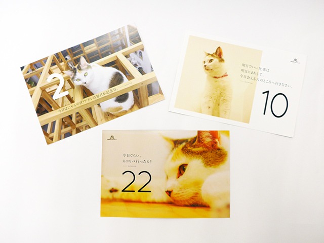 毎日バタちゃんカレンダー ネコリパブリック広島