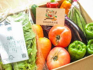 【リニューアル!】野菜計画の"濃い味"野菜箱大盛り（＊月1回配送）