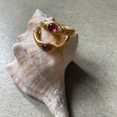 Venus Pierces tourmaline
