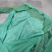 社交ダンス 衣装 スタンダード ドレス ワンピース レッスンウェア パーティドレス レディース prima boutique グリーン系 緑 長袖 ミントグリーン きらきら ラメ風 ストーン風 二重スカート フレアスカート ボリュームスカート 長袖ワンピース 練習用 レッスン用 ダンス衣装 フォーマル パーティー ワルツ タンゴ モダン ステージ衣装 競技用 フェミニン シフォン風 透け感 控えめ光沢 伸縮素材 ポリエステルファブリック ファスナー付き 女性用ドレス 体型カバー 動きやすい 9号