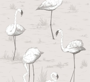 輸入壁紙　Cole & Son Flamingos