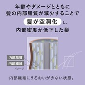 セグレタ コンディショナー つめかえ用 340ml