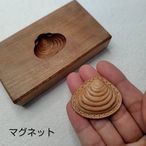 貝のマグネット(アラスカベリー) 貝のマグネット(アラスカベリー)