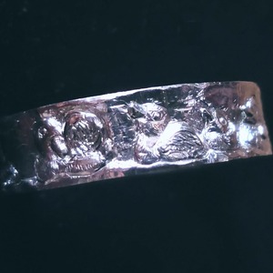 アヒルの遊泳　シルバーリング　5.5幅広